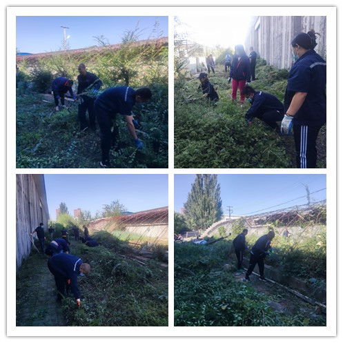 1662604341483332.jpg 4.jpg